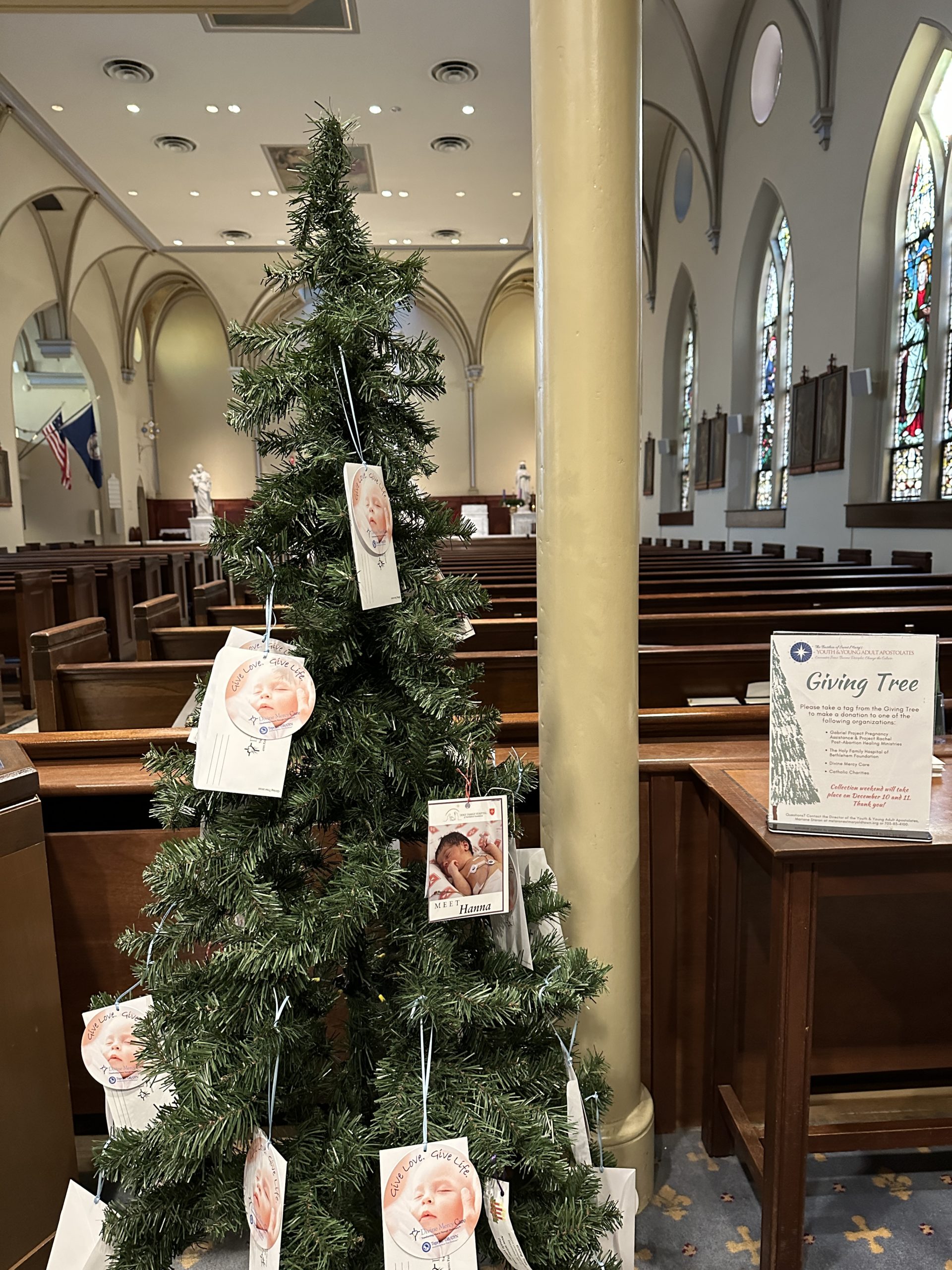 Please Donate to the Basilica Giving Tree Project To Aid Several Pro ...